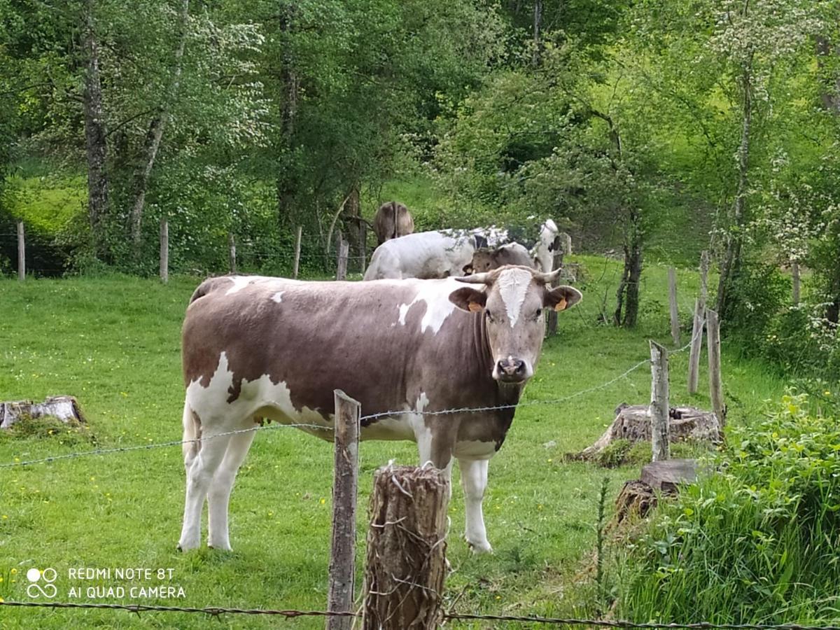 La Chaussee D'Olivet En Mayenne Ngoại thất bức ảnh