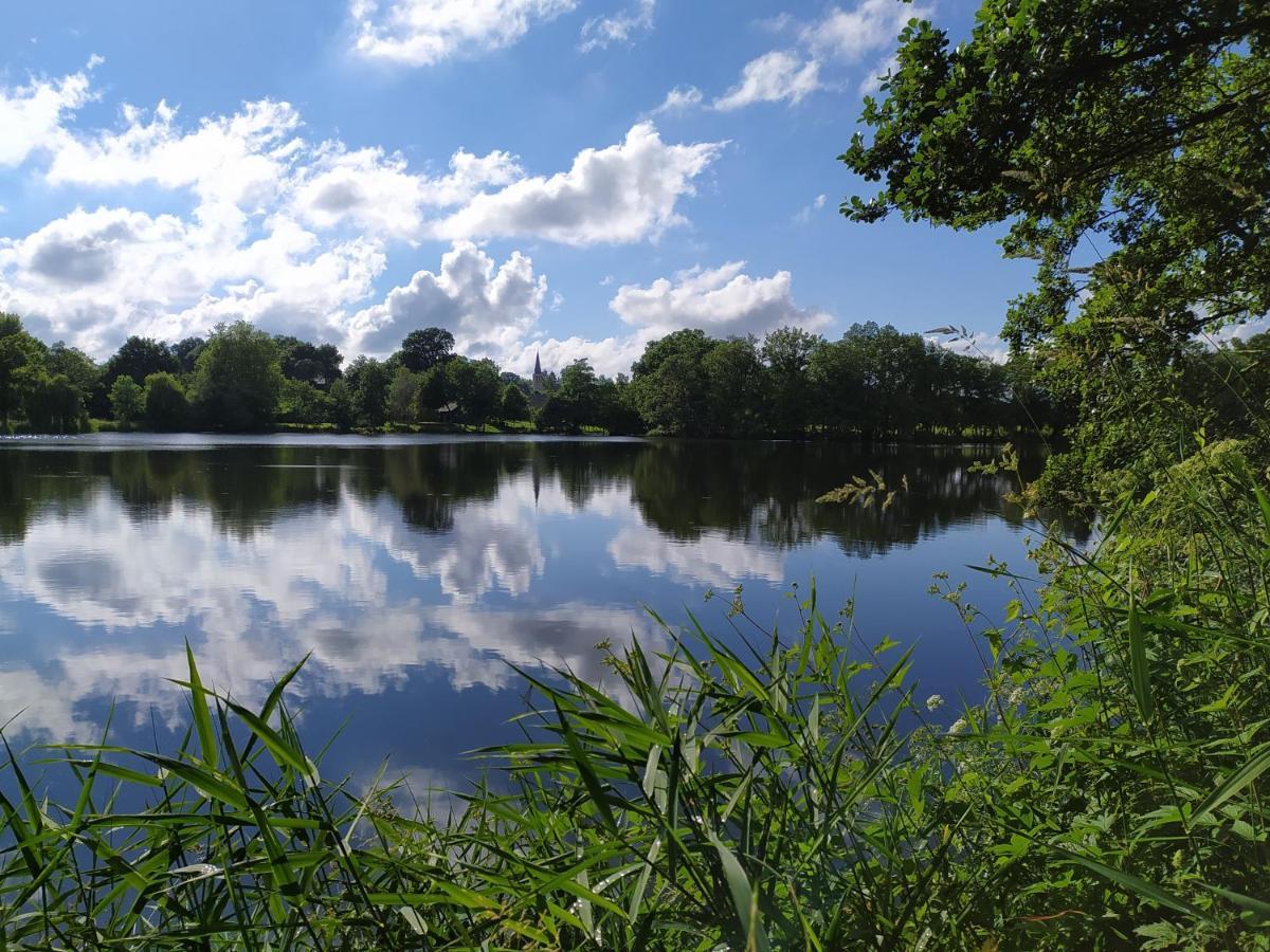 La Chaussee D'Olivet En Mayenne Ngoại thất bức ảnh